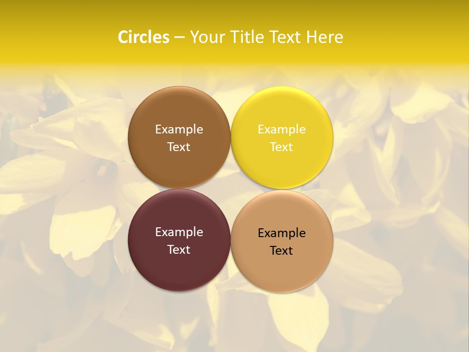 Beauty Twig Closeup PowerPoint Template