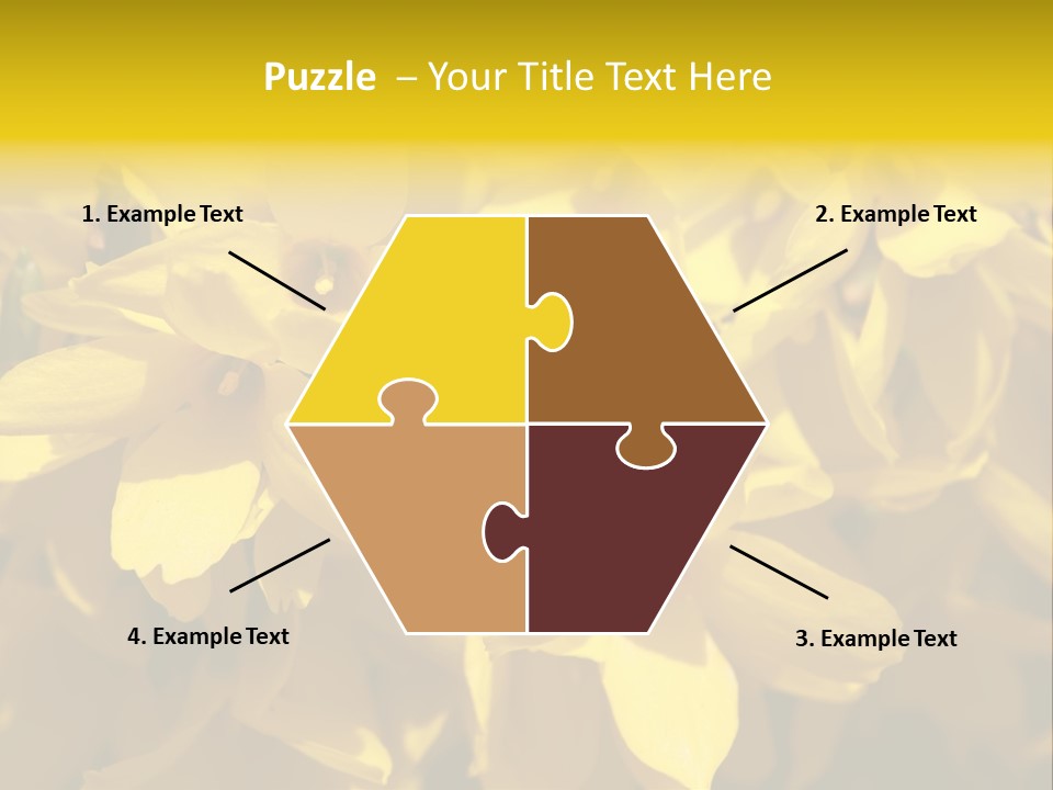 Beauty Twig Closeup PowerPoint Template