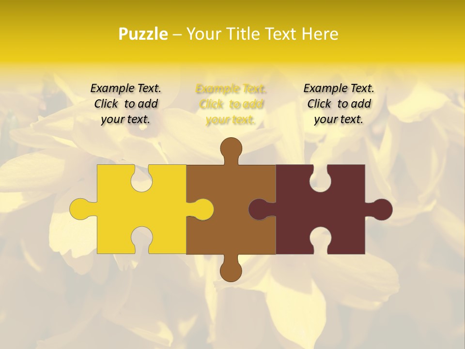 Beauty Twig Closeup PowerPoint Template