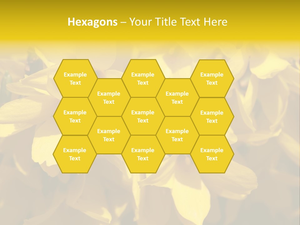 Beauty Twig Closeup PowerPoint Template