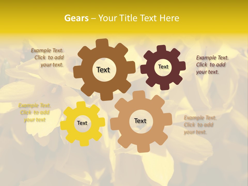 Beauty Twig Closeup PowerPoint Template