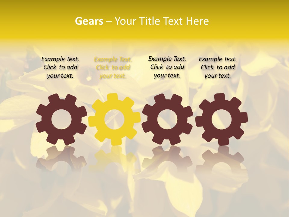 Beauty Twig Closeup PowerPoint Template