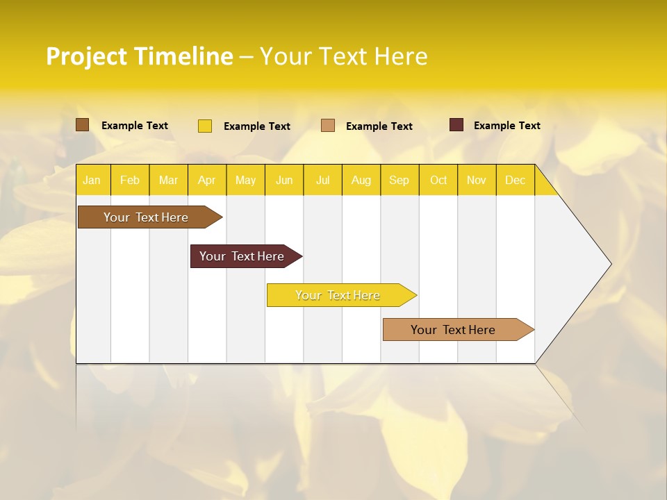 Beauty Twig Closeup PowerPoint Template