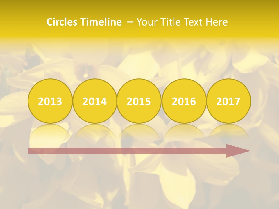 Beauty Twig Closeup PowerPoint Template