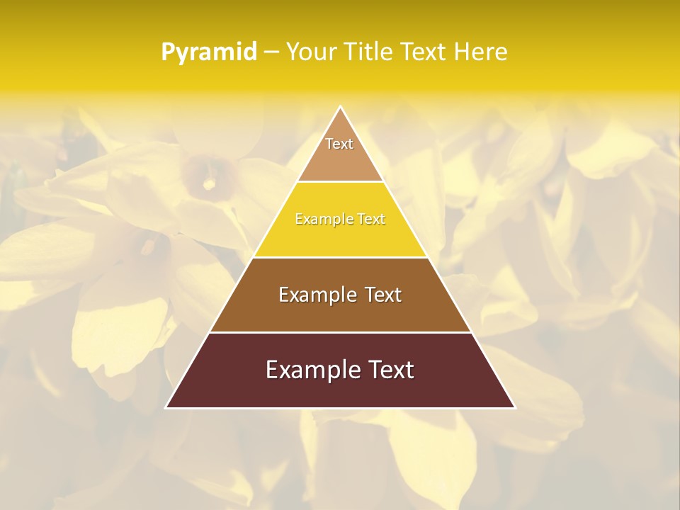 Beauty Twig Closeup PowerPoint Template