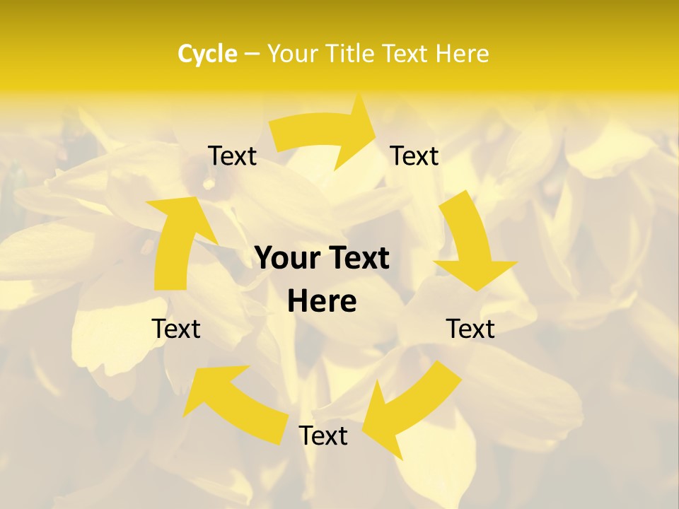 Beauty Twig Closeup PowerPoint Template