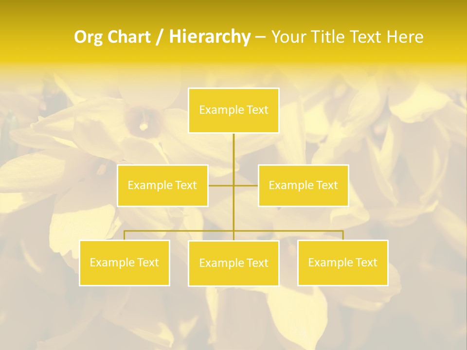 Beauty Twig Closeup PowerPoint Template