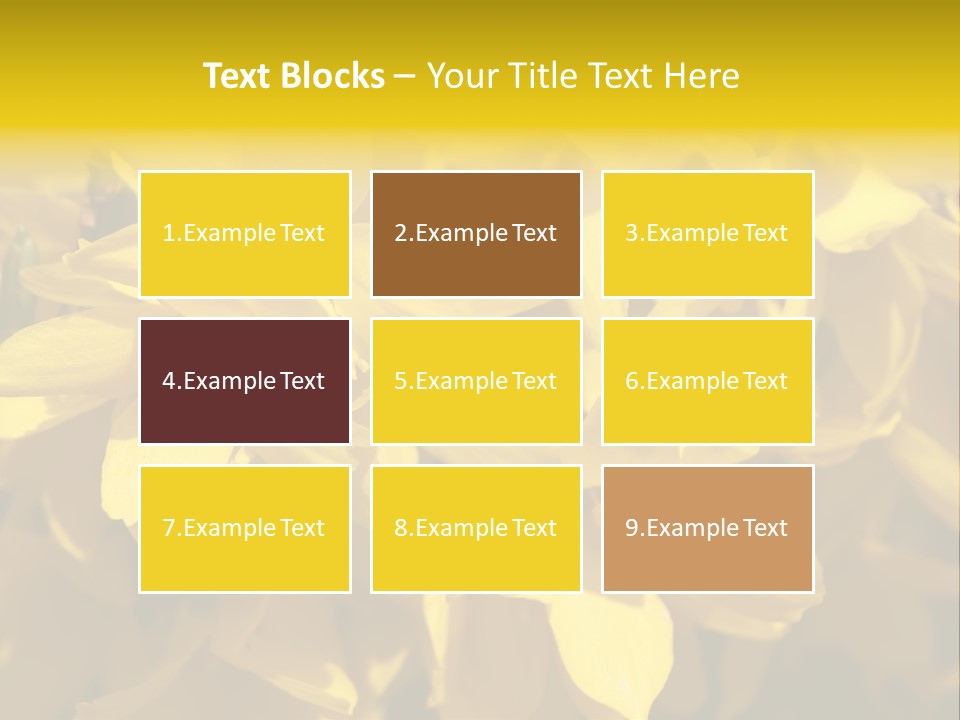 Beauty Twig Closeup PowerPoint Template