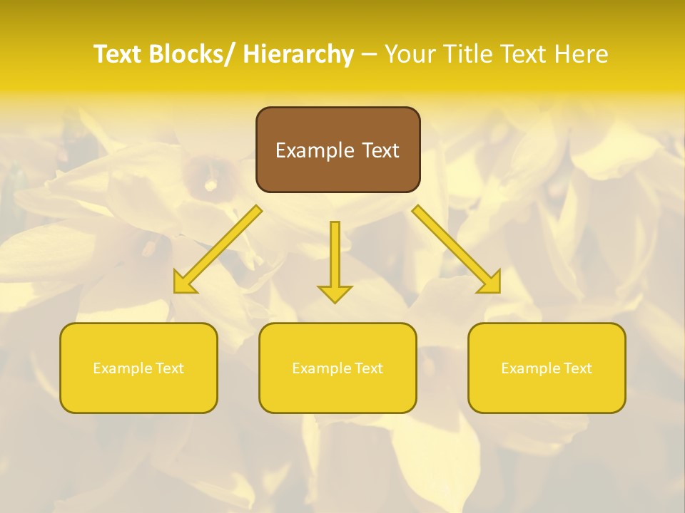 Beauty Twig Closeup PowerPoint Template
