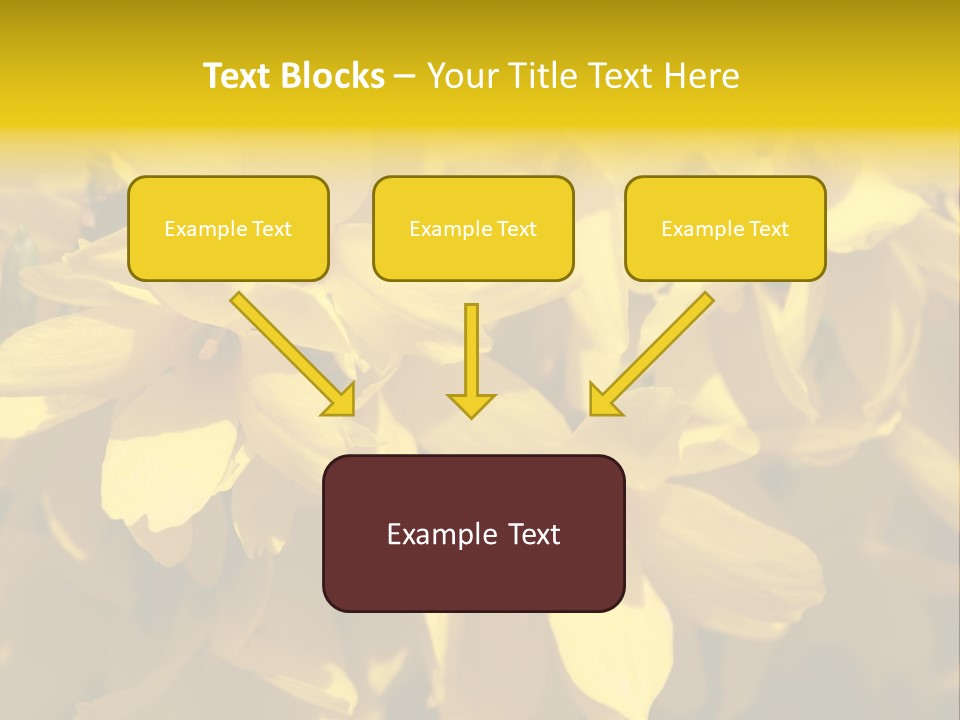 Beauty Twig Closeup PowerPoint Template