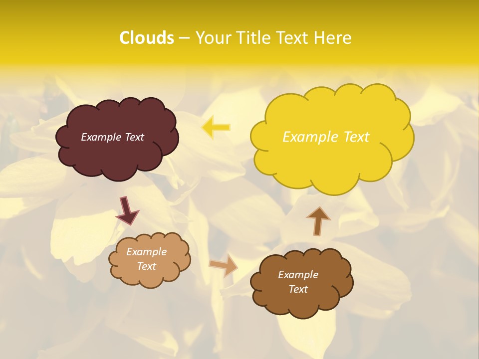 Beauty Twig Closeup PowerPoint Template