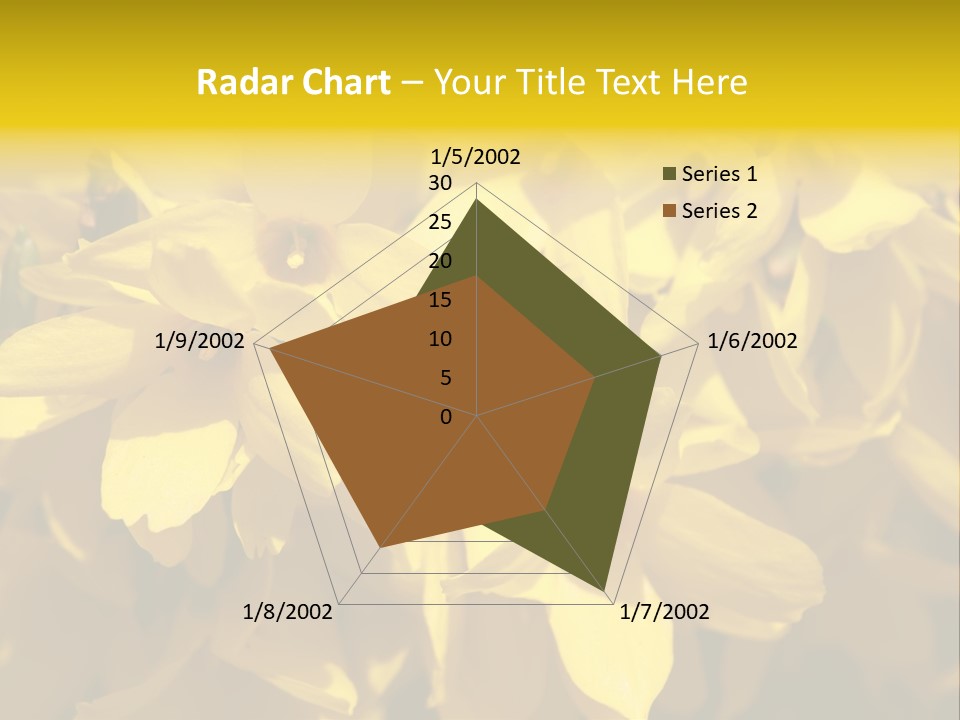 Beauty Twig Closeup PowerPoint Template