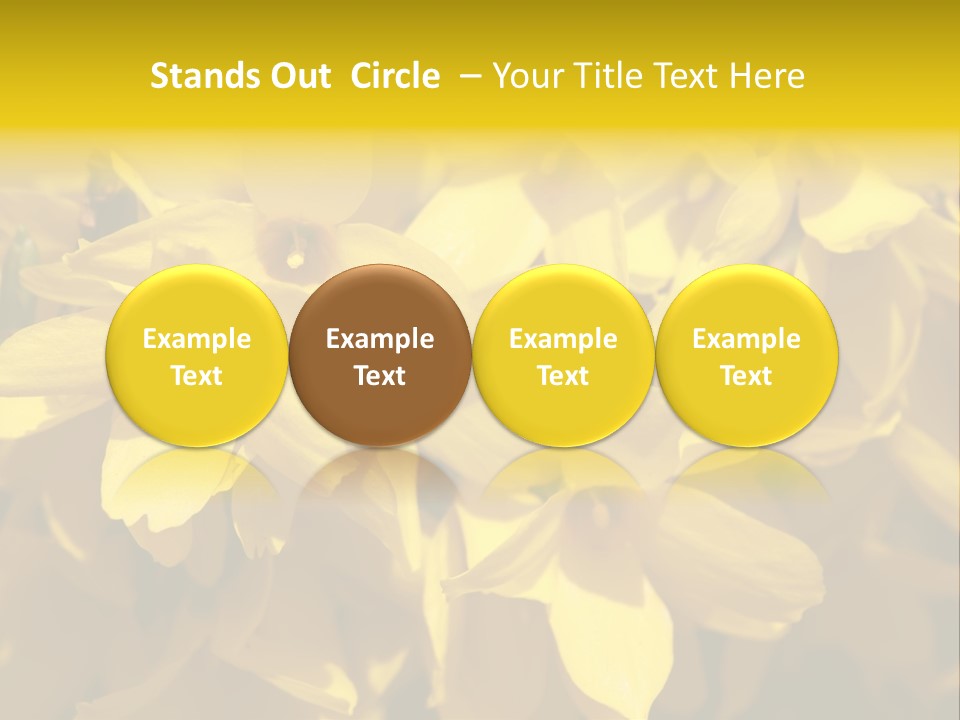 Beauty Twig Closeup PowerPoint Template