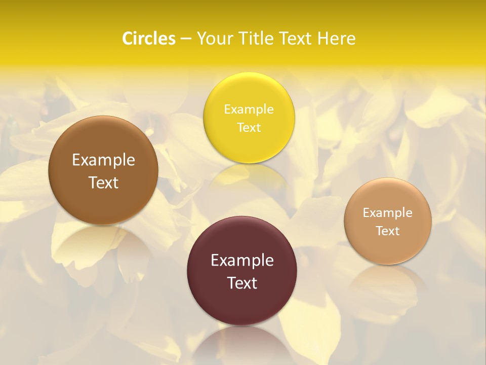 Beauty Twig Closeup PowerPoint Template