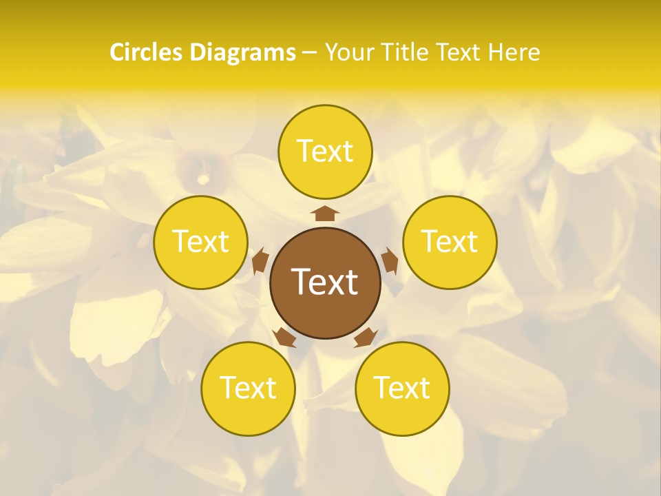 Beauty Twig Closeup PowerPoint Template