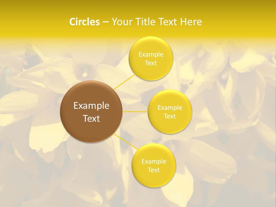 Beauty Twig Closeup PowerPoint Template