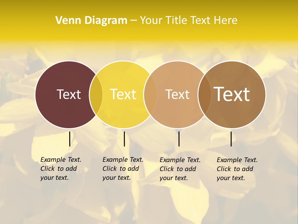 Beauty Twig Closeup PowerPoint Template