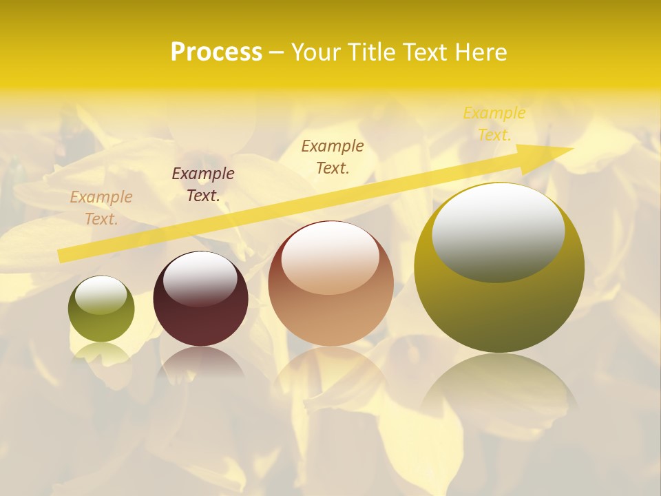 Beauty Twig Closeup PowerPoint Template