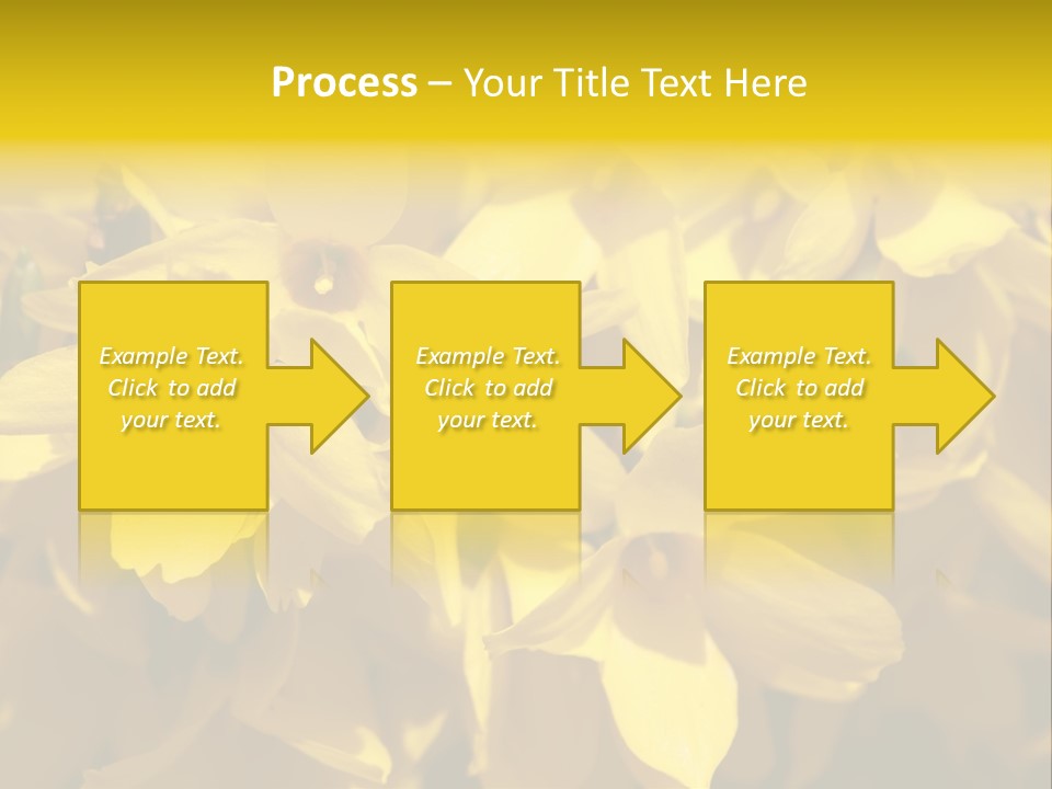 Beauty Twig Closeup PowerPoint Template