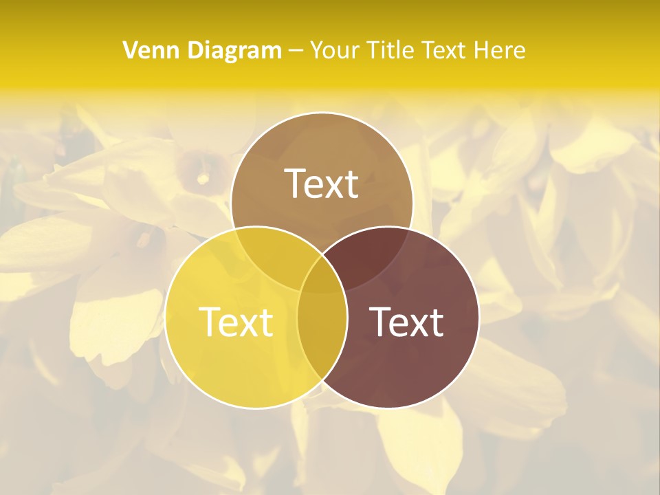 Beauty Twig Closeup PowerPoint Template