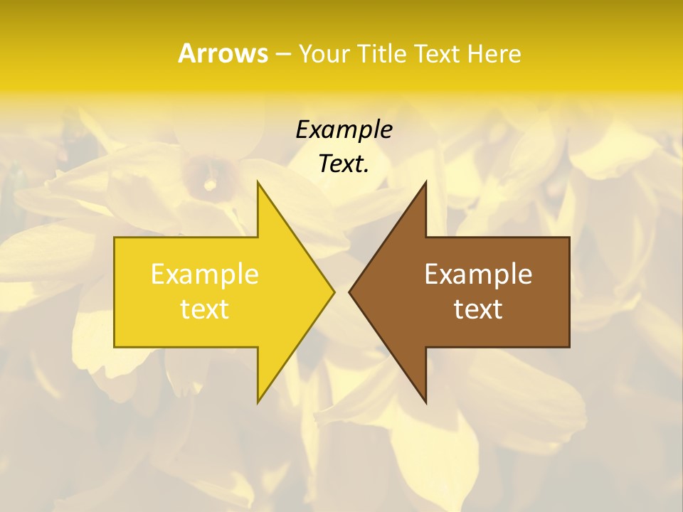 Beauty Twig Closeup PowerPoint Template