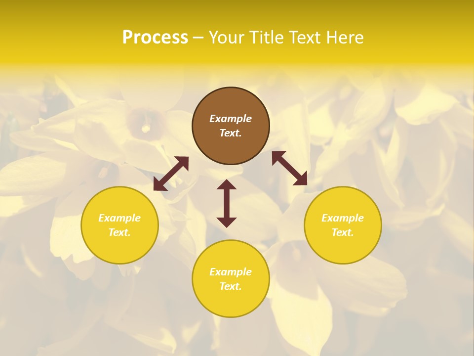 Beauty Twig Closeup PowerPoint Template