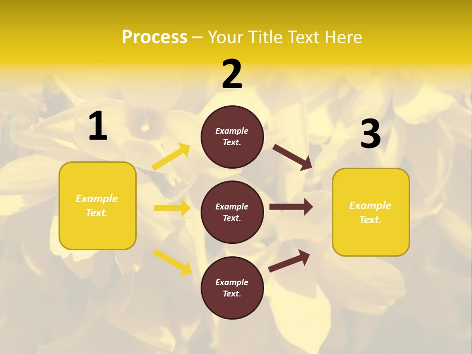 Beauty Twig Closeup PowerPoint Template