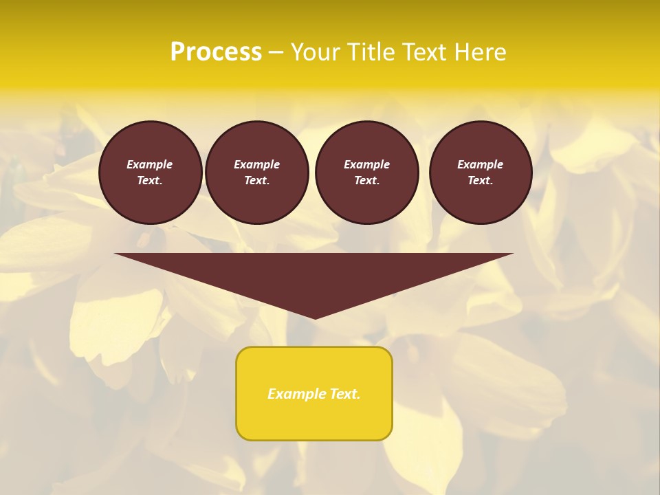 Beauty Twig Closeup PowerPoint Template