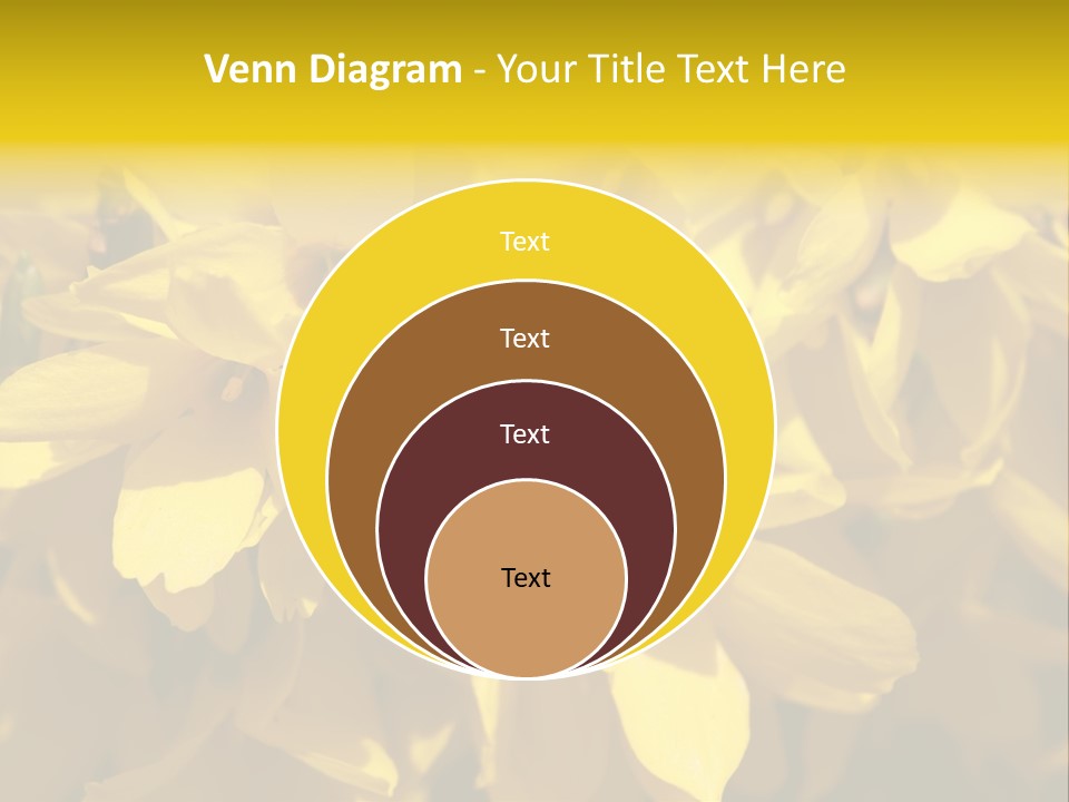 Beauty Twig Closeup PowerPoint Template