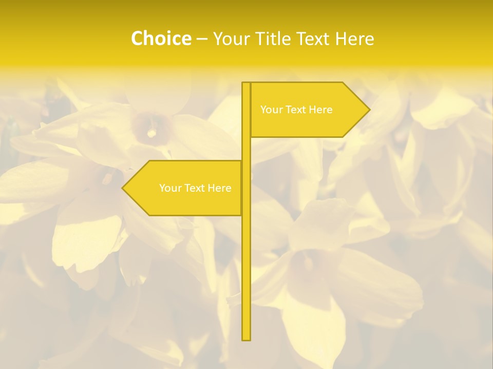 Beauty Twig Closeup PowerPoint Template
