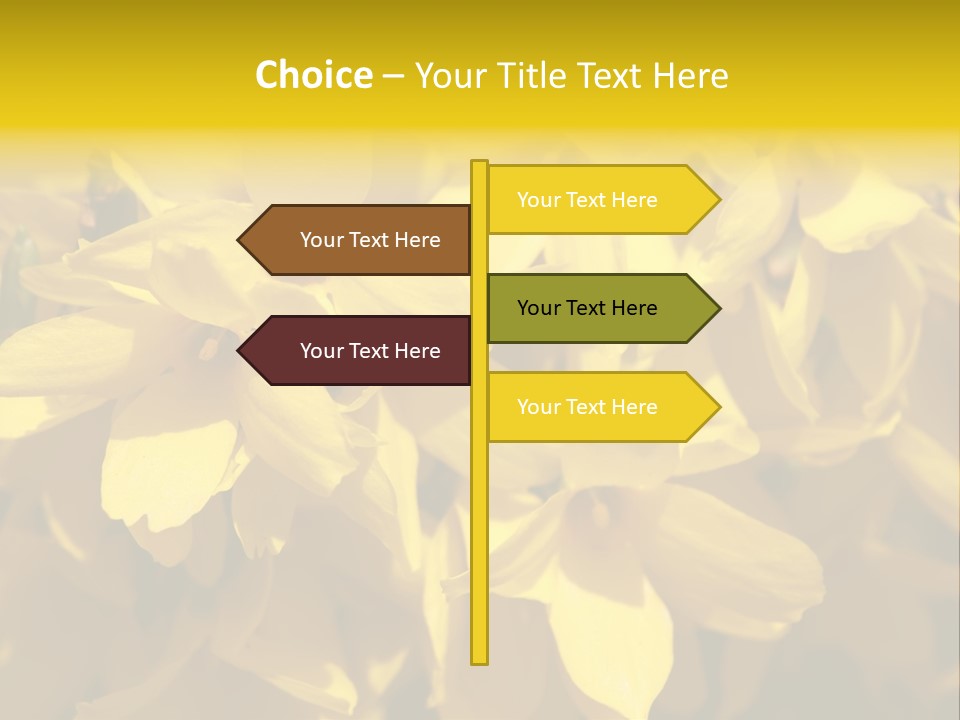 Beauty Twig Closeup PowerPoint Template
