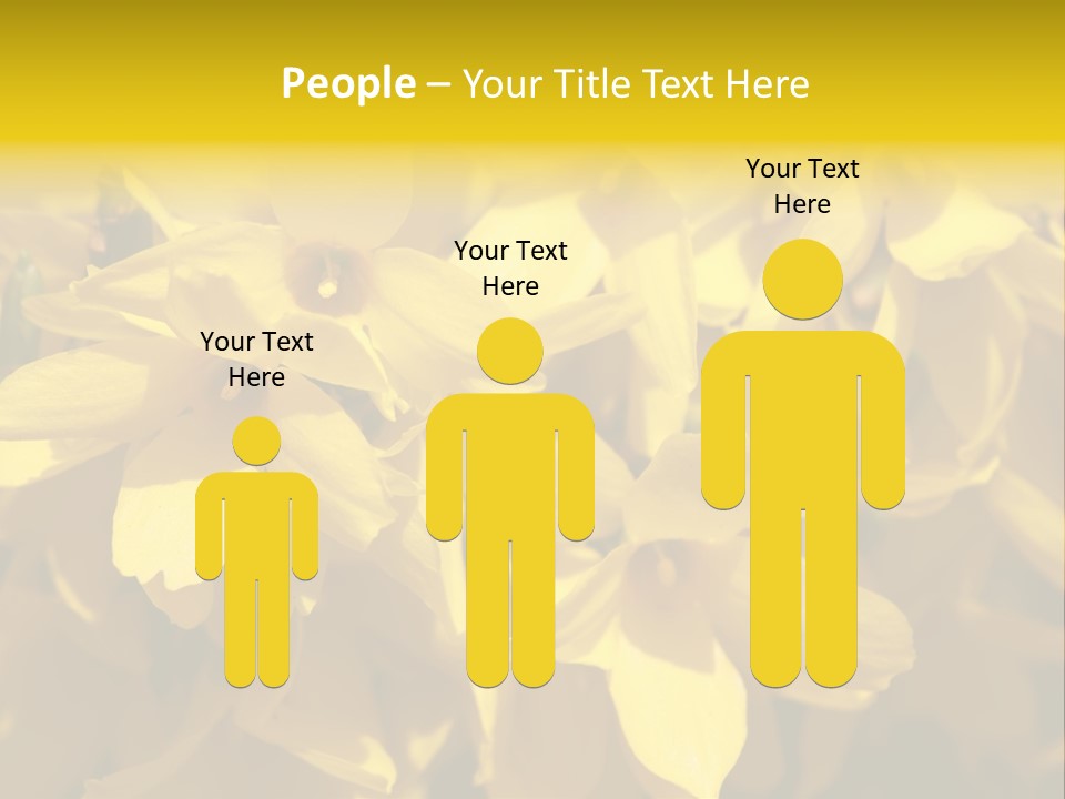 Beauty Twig Closeup PowerPoint Template