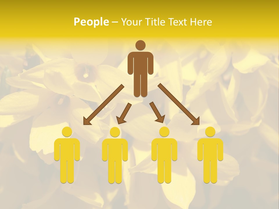 Beauty Twig Closeup PowerPoint Template