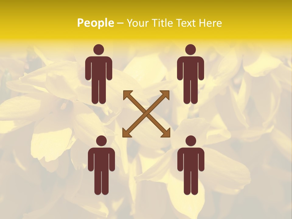 Beauty Twig Closeup PowerPoint Template