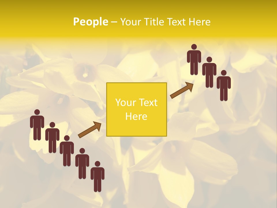 Beauty Twig Closeup PowerPoint Template