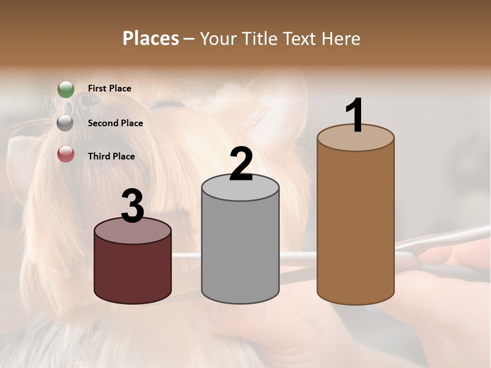 A Person Cutting A Dog's Hair With A Pair Of Scissors PowerPoint Template