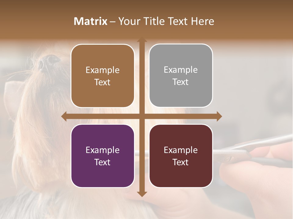 A Person Cutting A Dog's Hair With A Pair Of Scissors PowerPoint Template