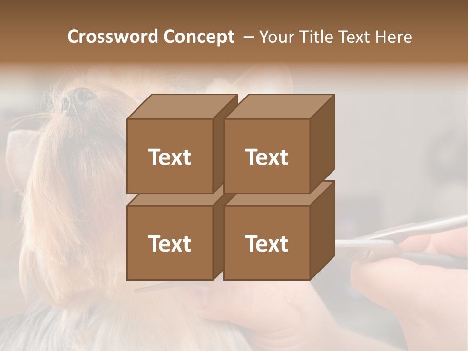 A Person Cutting A Dog's Hair With A Pair Of Scissors PowerPoint Template