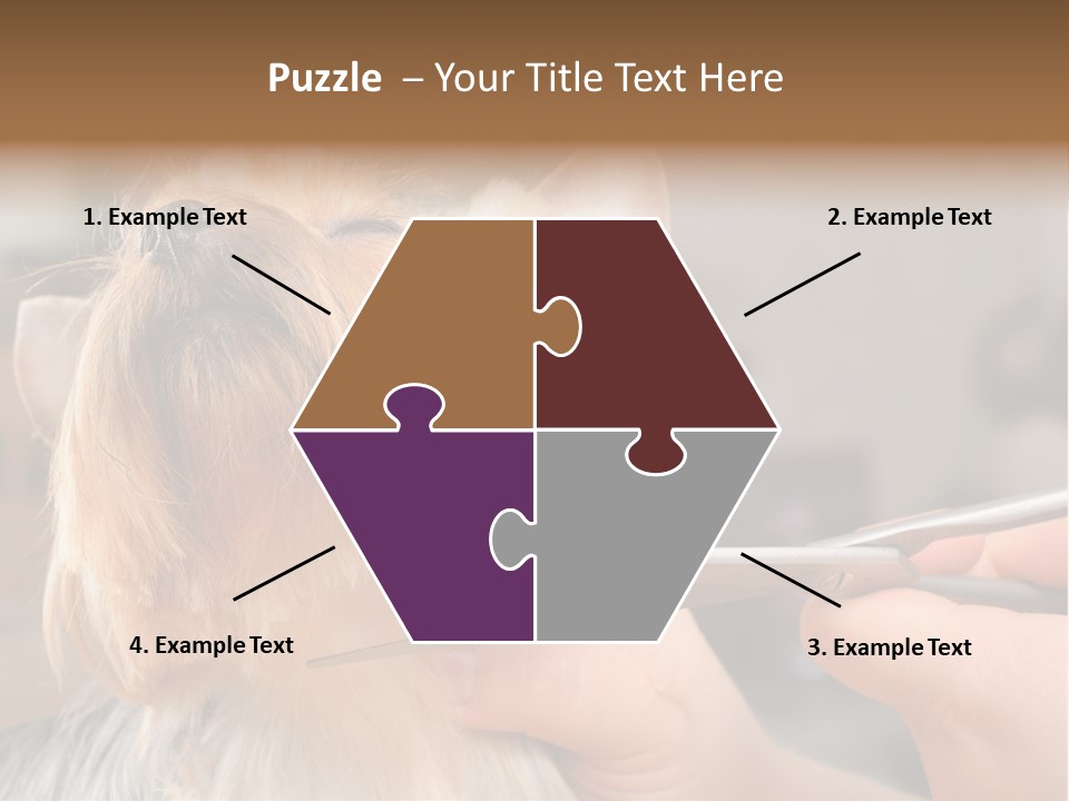 A Person Cutting A Dog's Hair With A Pair Of Scissors PowerPoint Template