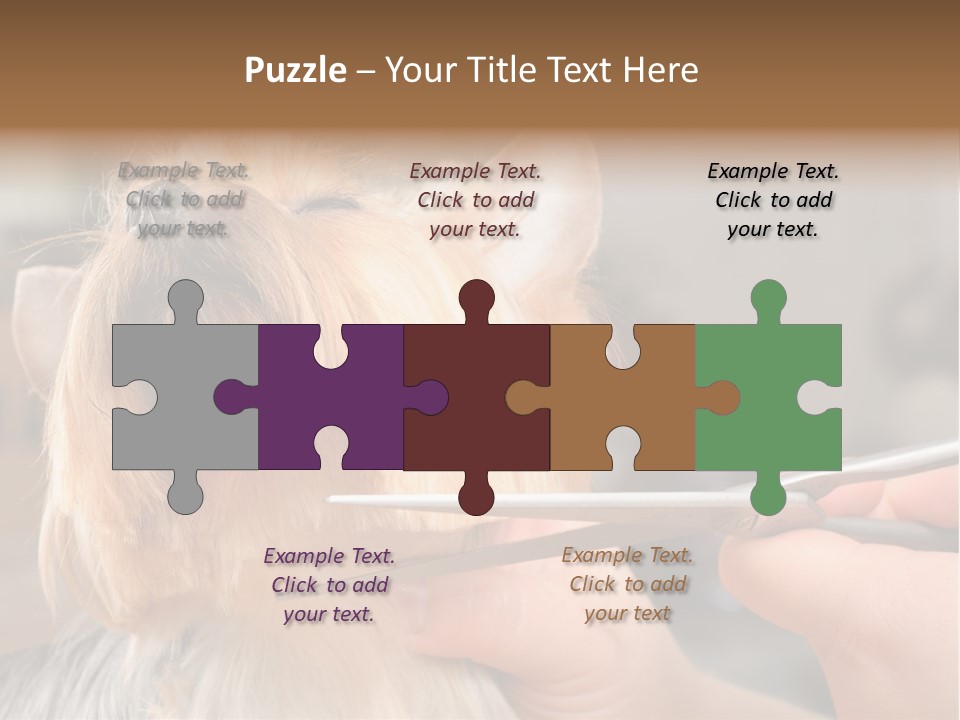 A Person Cutting A Dog's Hair With A Pair Of Scissors PowerPoint Template