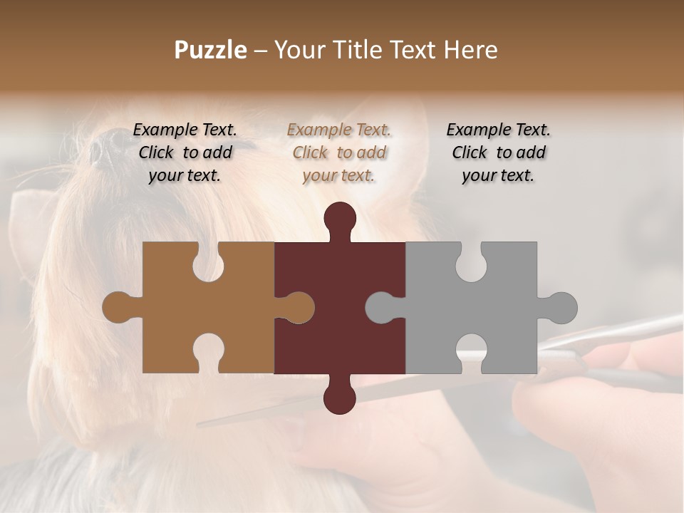 A Person Cutting A Dog's Hair With A Pair Of Scissors PowerPoint Template