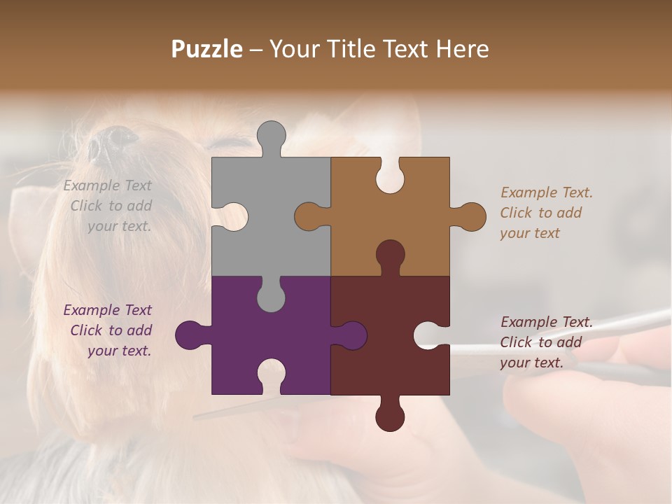 A Person Cutting A Dog's Hair With A Pair Of Scissors PowerPoint Template