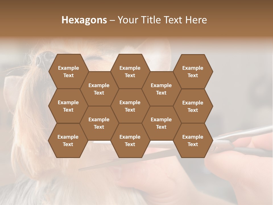 A Person Cutting A Dog's Hair With A Pair Of Scissors PowerPoint Template