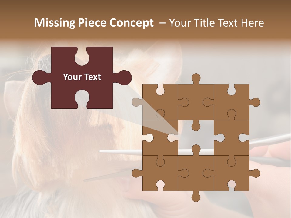 A Person Cutting A Dog's Hair With A Pair Of Scissors PowerPoint Template