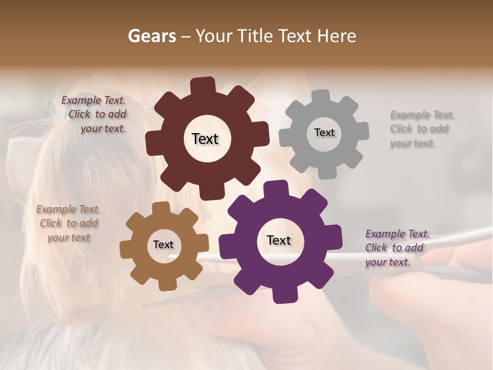 A Person Cutting A Dog's Hair With A Pair Of Scissors PowerPoint Template