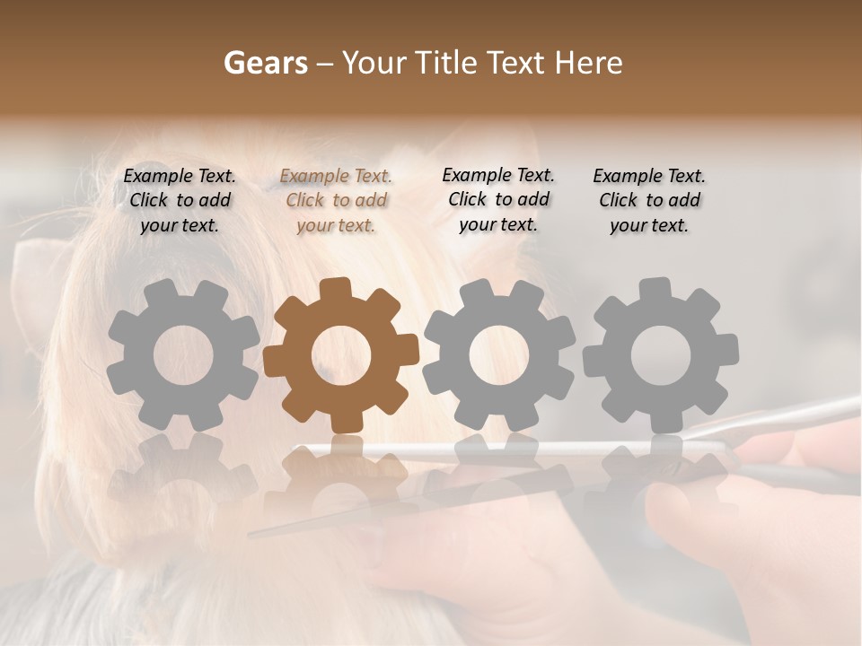 A Person Cutting A Dog's Hair With A Pair Of Scissors PowerPoint Template