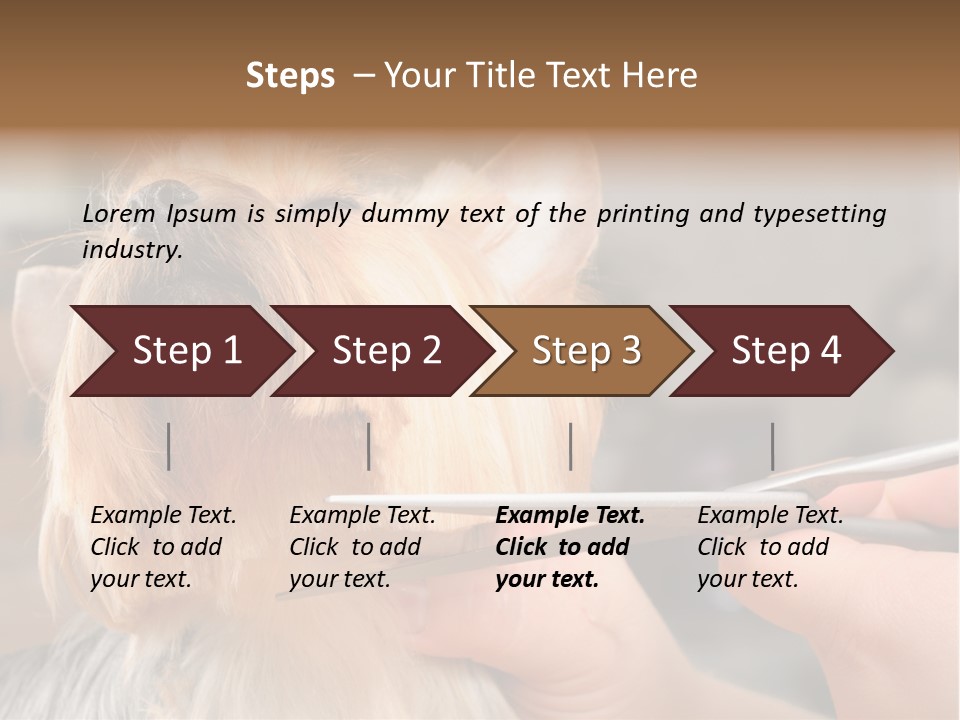 A Person Cutting A Dog's Hair With A Pair Of Scissors PowerPoint Template