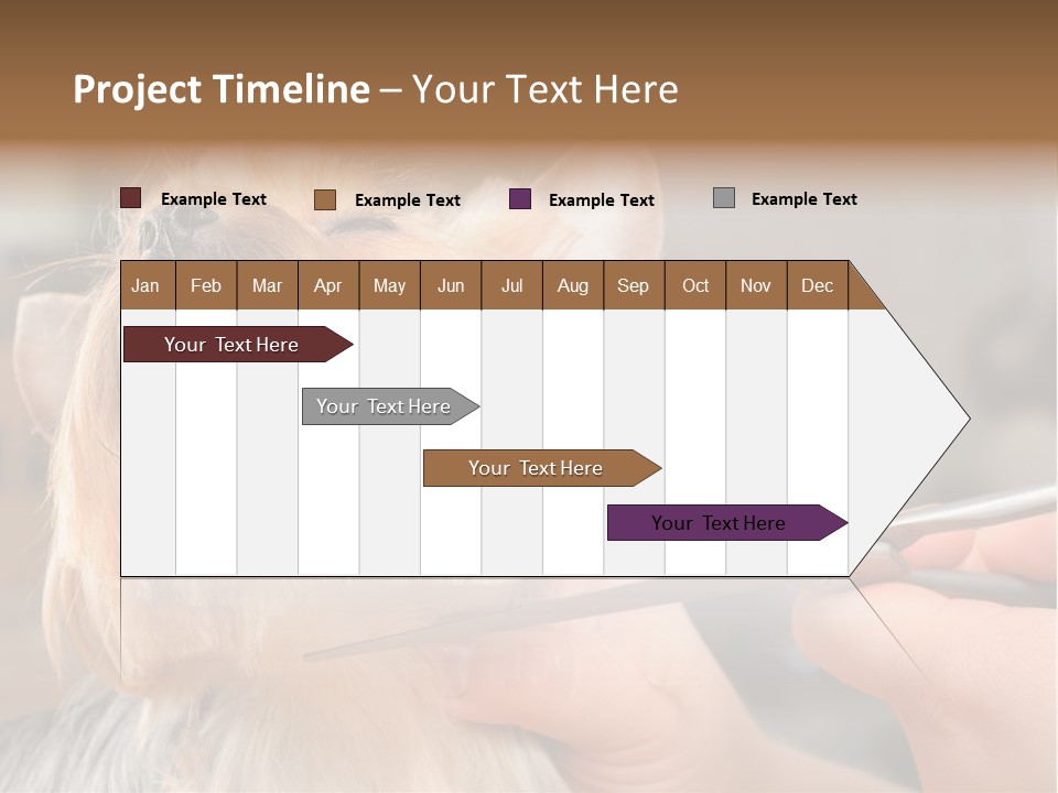 A Person Cutting A Dog's Hair With A Pair Of Scissors PowerPoint Template