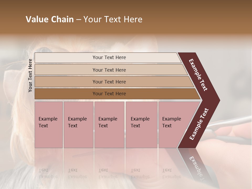 A Person Cutting A Dog's Hair With A Pair Of Scissors PowerPoint Template