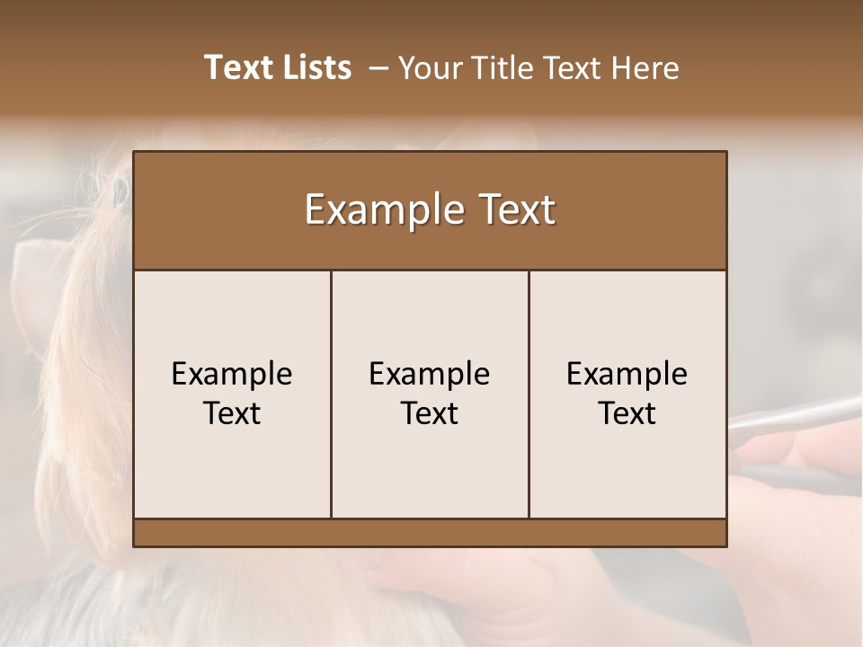 A Person Cutting A Dog's Hair With A Pair Of Scissors PowerPoint Template